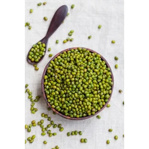 Kacang Hijau 25 Kg Untuk Bahan Pangan