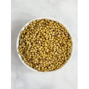Biji Ketumbar Kering 25 Kg Rempah Industri Kuliner