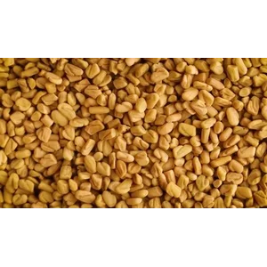 Biji Halba Utuh 10 Kg Rempah Herbal Kering