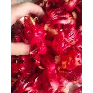 Bunga Pala Kering Asnur Indo