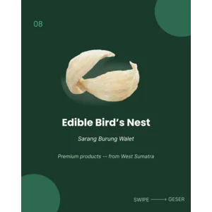 Sarang Burung Walet  Asnur Indo