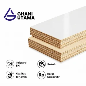 Triplek / Kayu Lapis Melamin Doff Putih Kunci 1200 x 2400 mm