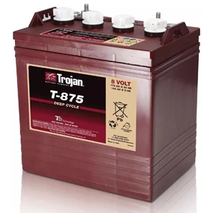 Trojan Car Battery T-875 Deep Cycle 8V