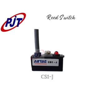 Reed Switch CS1 - J