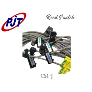 Reed Switch CS1 - J