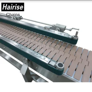 Chain Conveyor Hairise