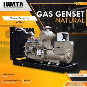 Genset Gas IWATA 32Kw Open Type - IW38LPO-NG