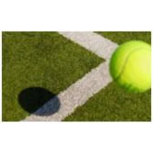 Rumput Sintetis Untuk Tennis Golf Baseball