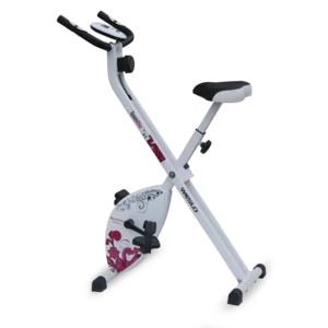 WESLO SPAZIO BIKE