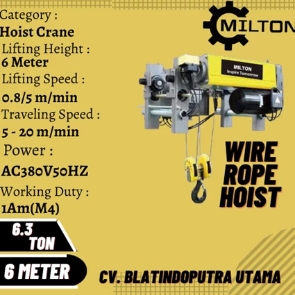 From wire rope hoist kapasitas 6.3 tons 6 meters MILTON 2