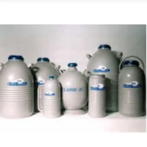 Gas Nitrogen (N2) / Liquid Nitrogen Gas