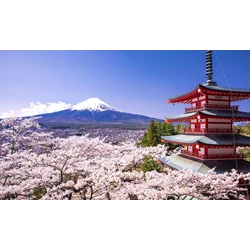 Land Tour 4D3N Tokyo With Choice Of Tour Special (Jul - Oct'17) Start From IDR 7.090.000 /pax