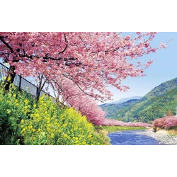 7D Relax Japan Sakura (Dep 28Mar/02Apr'18) WH35 All In Price IDR 20.900.000 /PAX Flight By: SINGAPORE AIRLINES