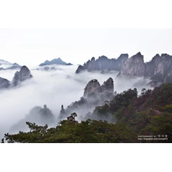 8D Beautiful Huangsan By China Eastern Dep  11& 13 & 15 (WH01) All In Price IDR 10.990.000 /PAX Flight By : CHINA EASTERN
