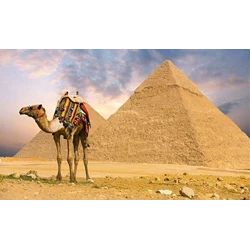 11D Mesir-Sharm El sheikh-Jerusalem Dep 25 Jun'18 Start From USD 2.350 /pax Flight By: EMIRATES