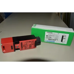 Switch Schneider Safety Interlock XCSPA593