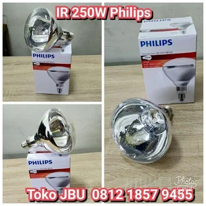 Lampu Bohlam IR 250W Philips