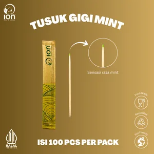 Tusuk Gigi Kayu Mint ION Double Sided Bungkus Kertas Steril