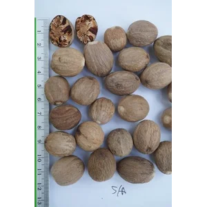Biji Pala Nutmeg Whole Abcd