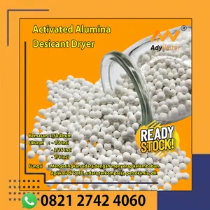 Activated Alumina  untuk Air Dryer Industri Makanan Ady Water
