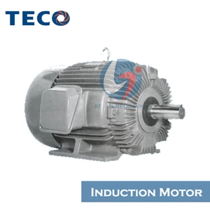 TECO Single Phase Induction Motor AEEA