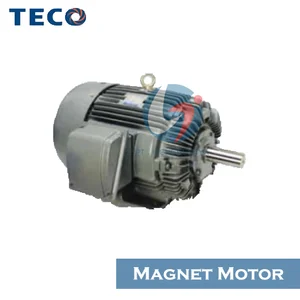 TECO Permanent Magnet Motor Listrik MAX-E1