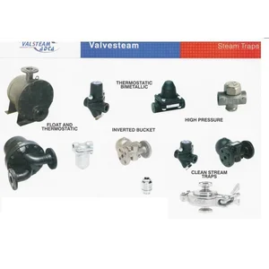 Steam Traps