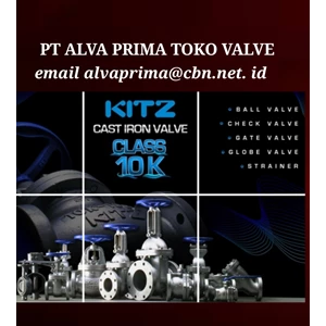 Cast Iron Valve KITZ PT Alva Valve  