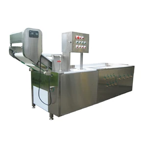 Wa-306 Continuous Fruit And Vegetable Washing Machine