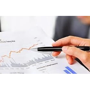 Jasa Audit Laporan Keuangan By CV. Drs. Selamat, Ak., CPA & Partners
