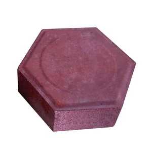 Paving Block Sni Segi Enam Warna