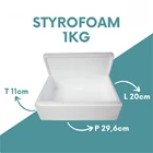 styrofoam box 1kg packaging ikan laut 1
