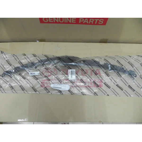 Retainer Hood FR MLDG 75786-BZ030
