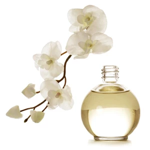 Fragrance / Parfum / Minyak wangi