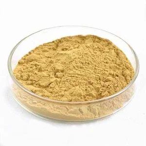 Yeast Extract /   Ekstrak ragi