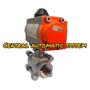 Pneumatic Actuaror CASA type CS-50D c/w Ball Valve size 1" SS316