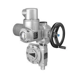 Worm Gearbox AUMA dari Eropa