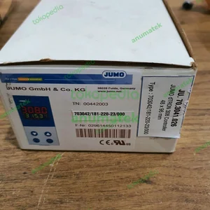 JUMO dTRON 308 703042/181-220-23/000 703042 181 220 23 000 48 × 96 mm
