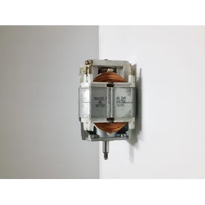 Motor 24 Vdc