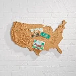 Cork Board ( Gabus Patah Untuk Mading )