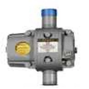 ROMET ROTARY GAS METER G40-G65-G100-G25-G1-6 2 Inches ANSI