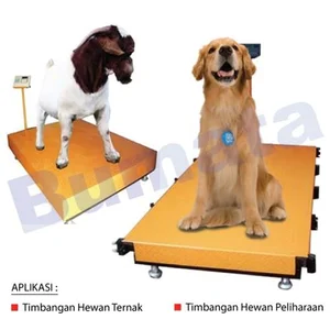 Timbangan Hewan Tanpa Kerangkeng Kap. Maksimal 50 Kg