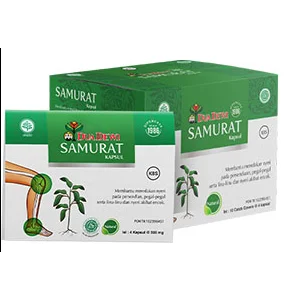 Dua dewi samurat (kapsul) 10 strip x 4 kapsul x @ 500 mg x 24 box/ctn