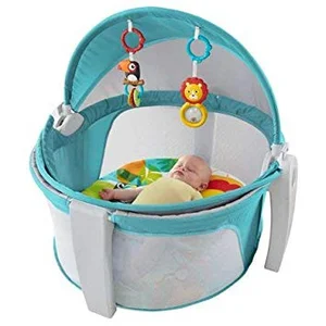 Fisherprice BG On The Go Baby Dome BOX OF 1 PCS