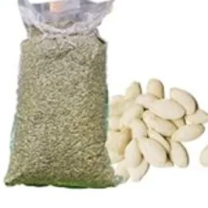 PUMPKIN SEED KERNEL 25 KG - CHINA  isi 25 kg(CPS010)
