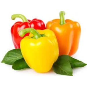 Paprika merah kuning hijau per 500 gram