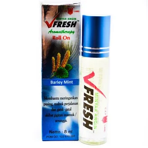 V Fresh Barley Mint 24x12 pcs/karton