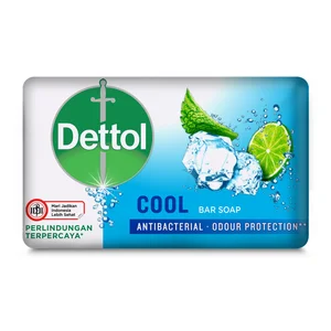 Dettol sabun batang 100 gr x 48 pcs per karton 8993560024543