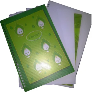 Paperline loose & lock B5 green 26 pack x 26 pcs per karton