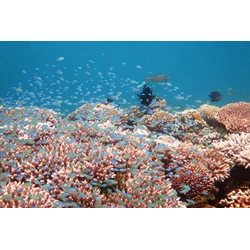 Sailing Lombok - Komodo (5D4N) By Trip Hemat